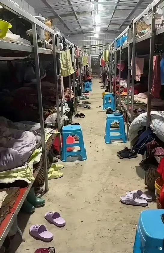 给你一万你会在这儿住一晚上吗 