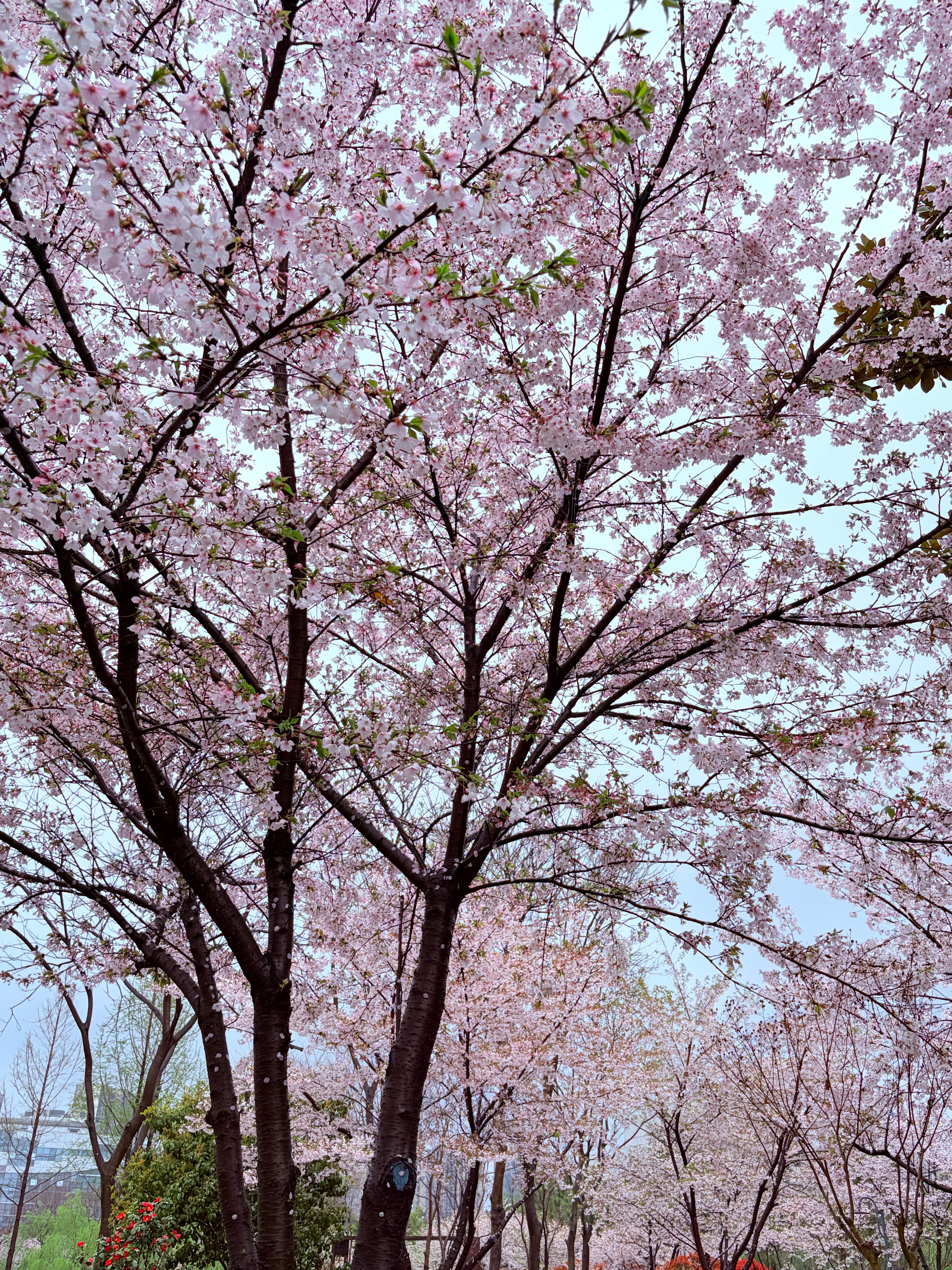 金价急速上涨金价这玩意儿，最近上蹿下跳的，如果是玩大富翁的人，还真不一定拿得住，