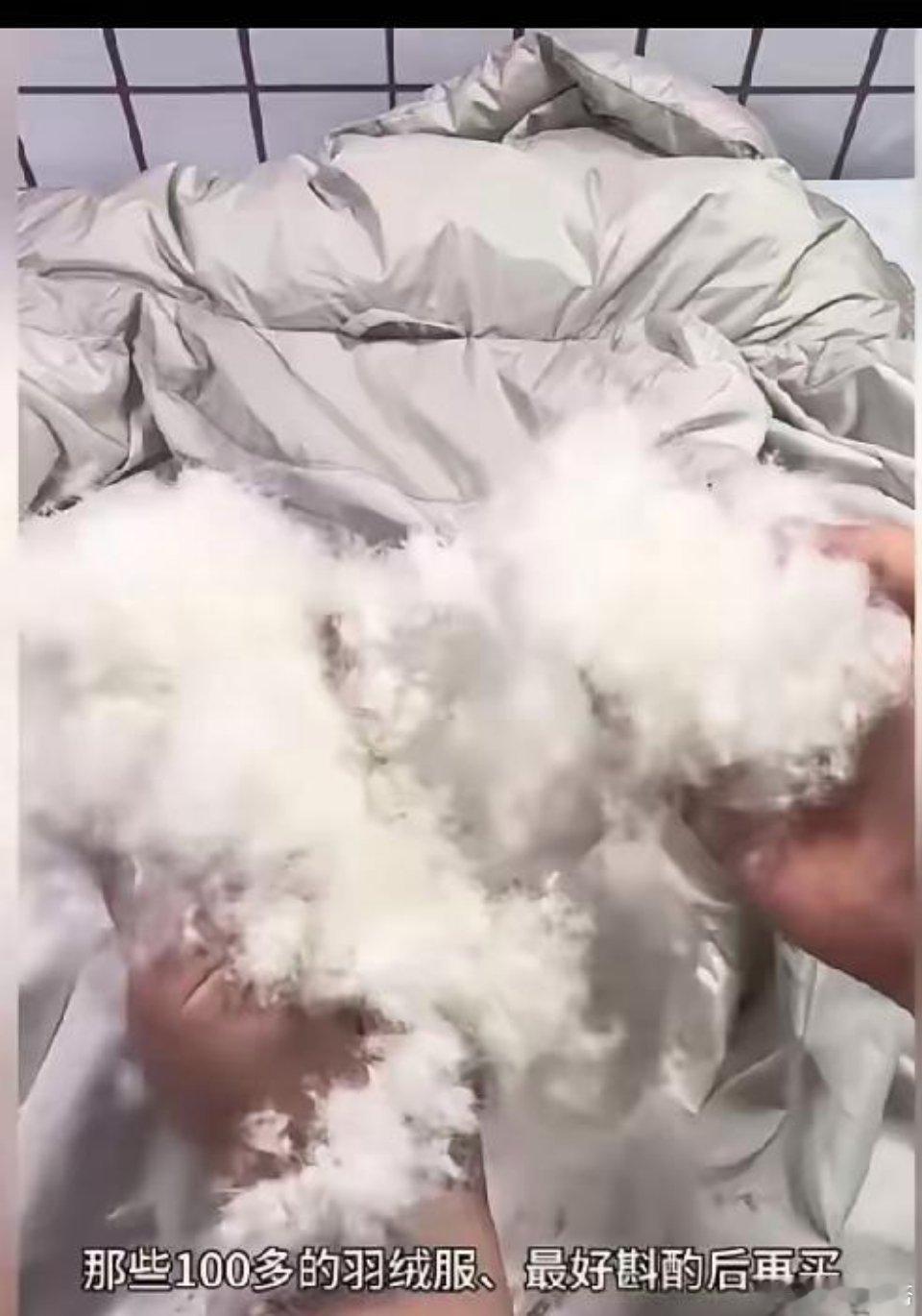 快来看！胖东来羽绒服有人实测了！看到有视频对胖东来279元和379元两款羽绒服剪