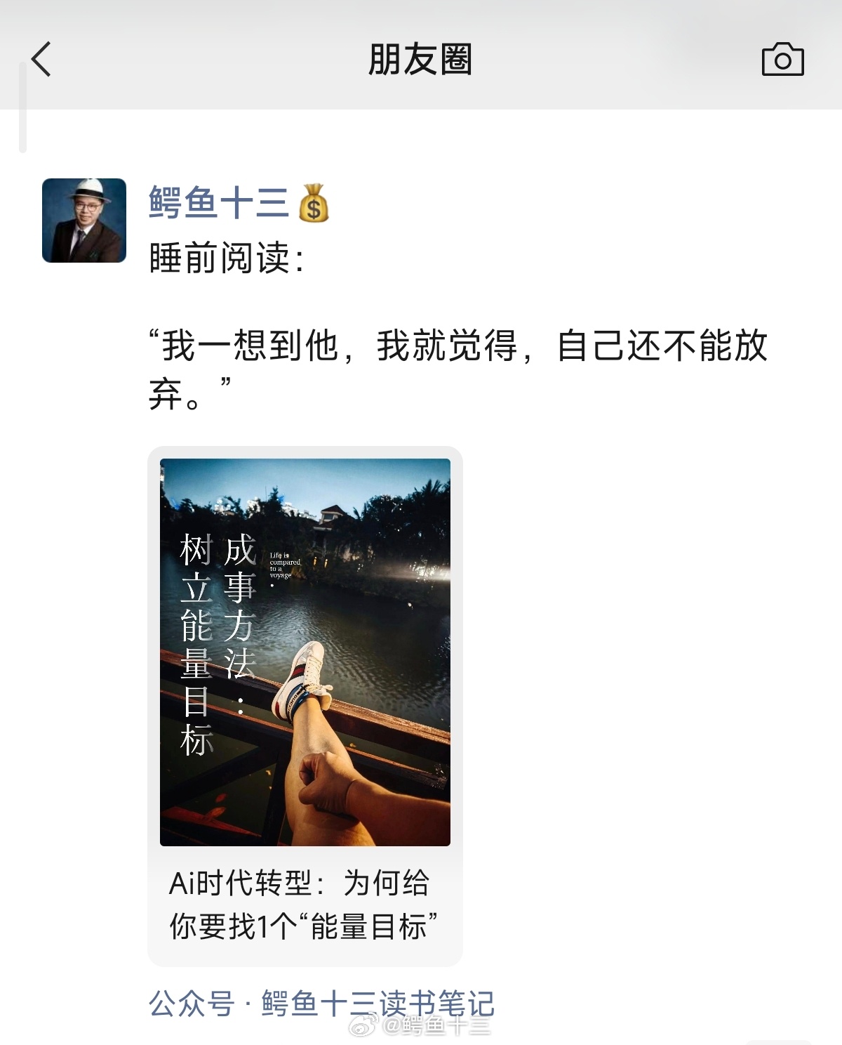 英伟达财报 睡前阅读：“我一想到他，我就觉得，自己还不能放弃。”鳄鱼十三读书笔记