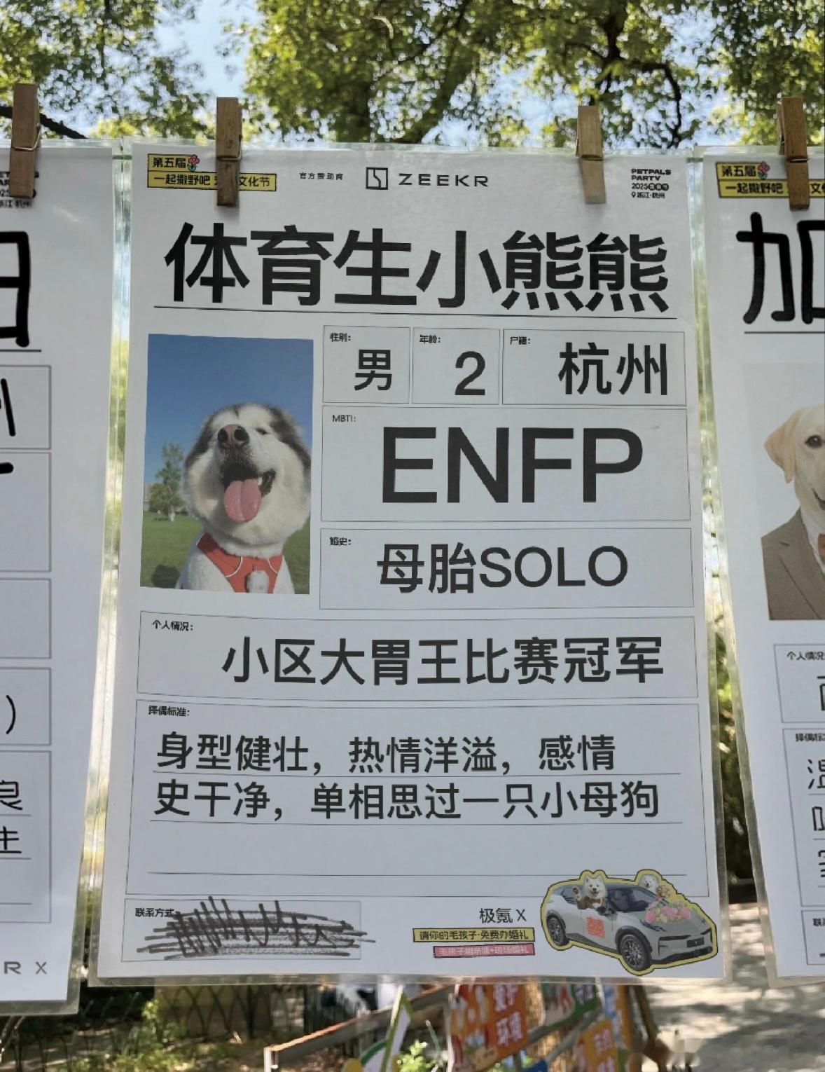 极氪办的这个活动很有创意啊。我认认真真看完了每一条征婚启事，还逐条阅读了评论区找