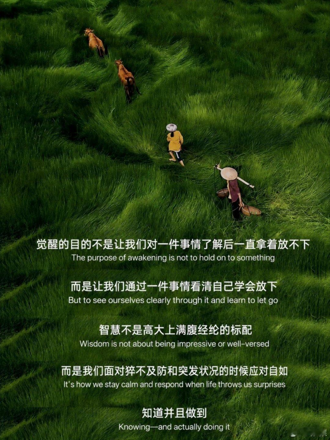 总有一些话让我泪流满面 ​​​