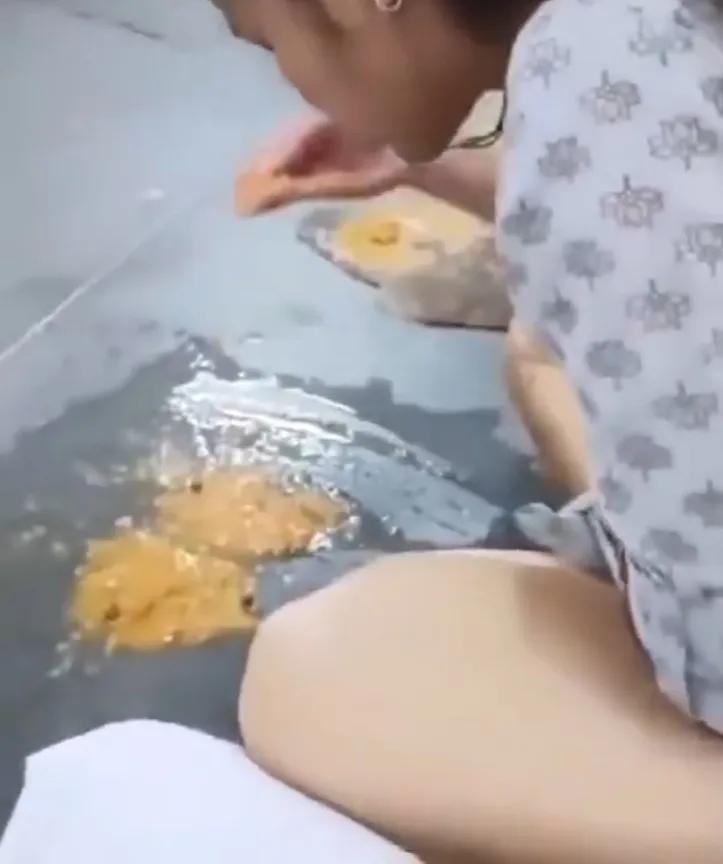印度美女手抓地上糊状物品尝，看吐中国网友：印度美食？
最近，印度美食又在网上火了