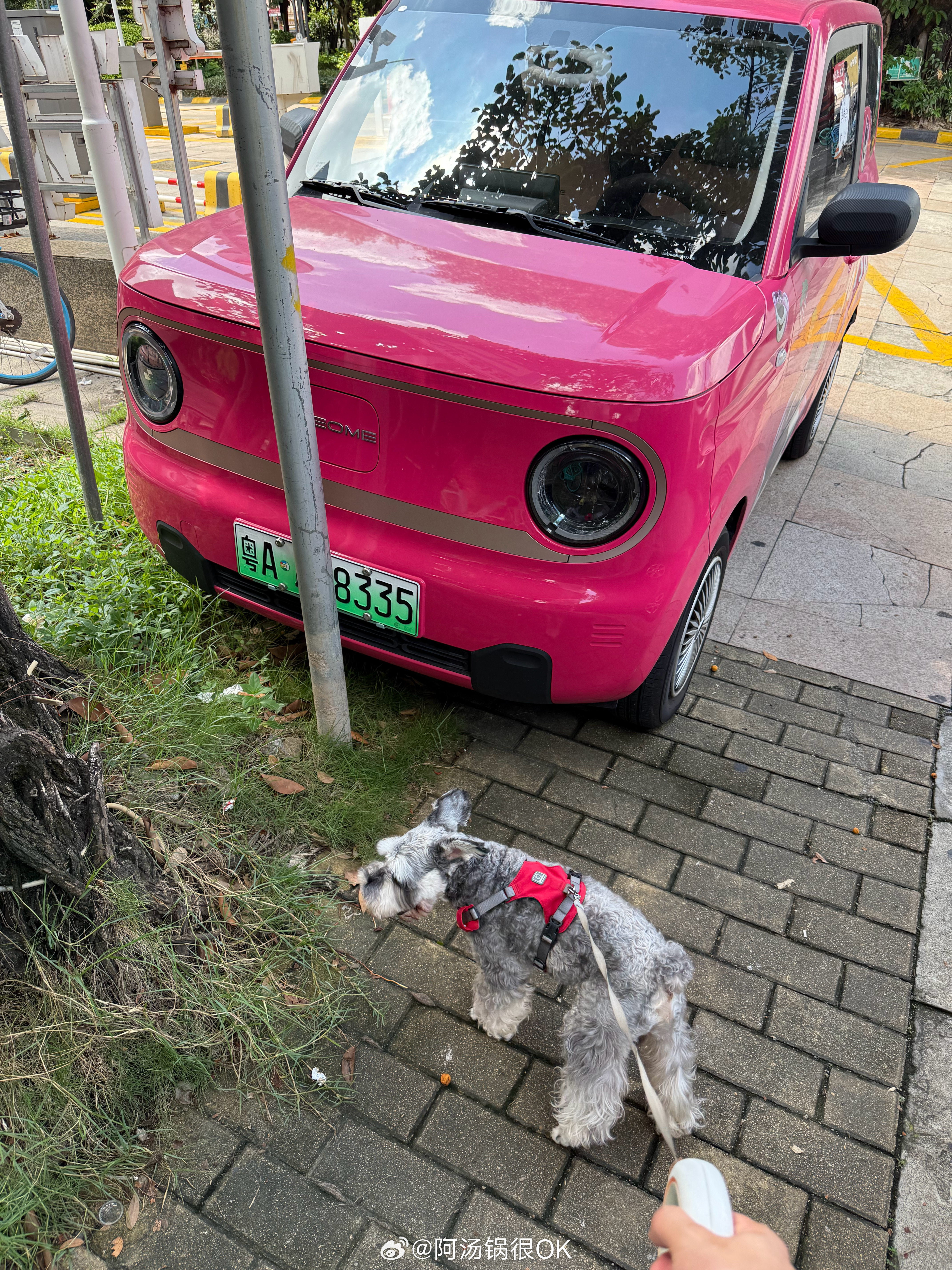 高手[doge][doge][doge]我与汽车的日常 ​​​