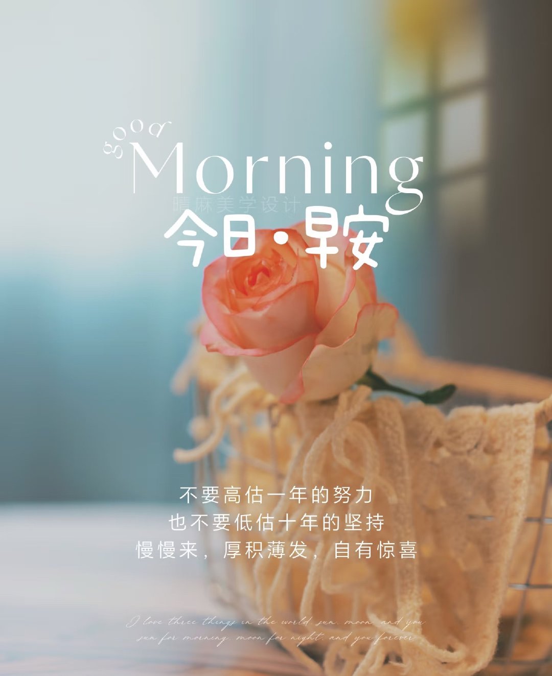 每一天都是新的一场冒险旅程愿我们都奔赴在自己热爱里🌿美好的周四快乐开启，早上好