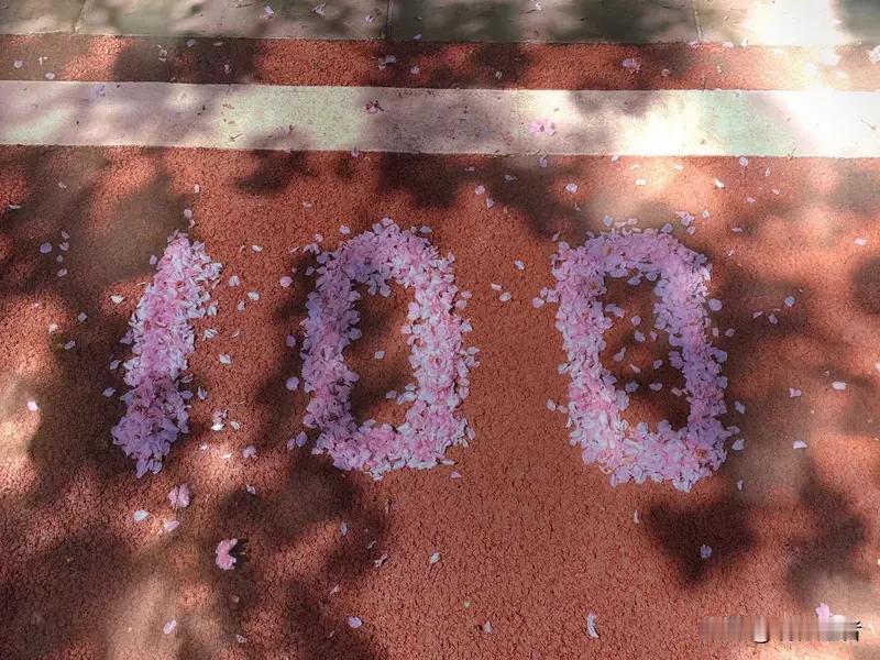 当00后同事开始喊90后我叔叔时，镜中的青春仿佛突然褪色。那位72岁网友的独白更