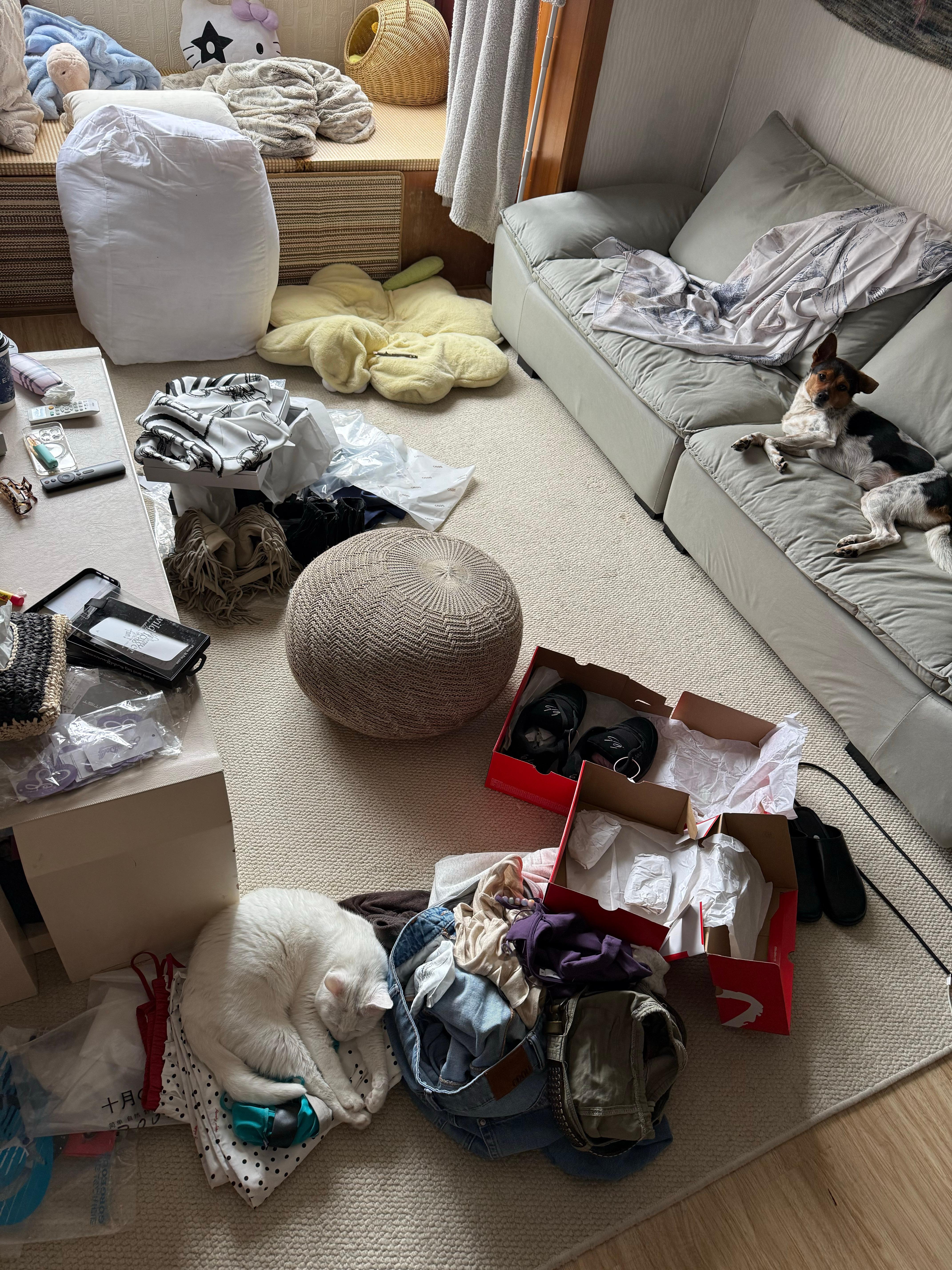 每次拍开箱视频后的狼藉，我需要一个田螺姑娘，救 ​​​