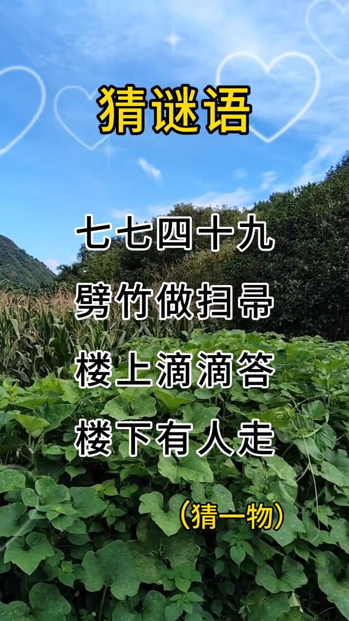 猜谜语：七七四十九。
劈竹做扫帚，楼上滴滴答，楼下有人走。(猜一物)。