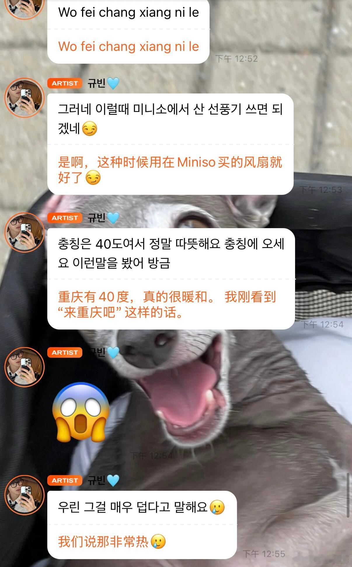 我不行了上海高温给了沈泉锐金奎彬一点小小震撼，不止小老外震惊打拼音说了不起，自己