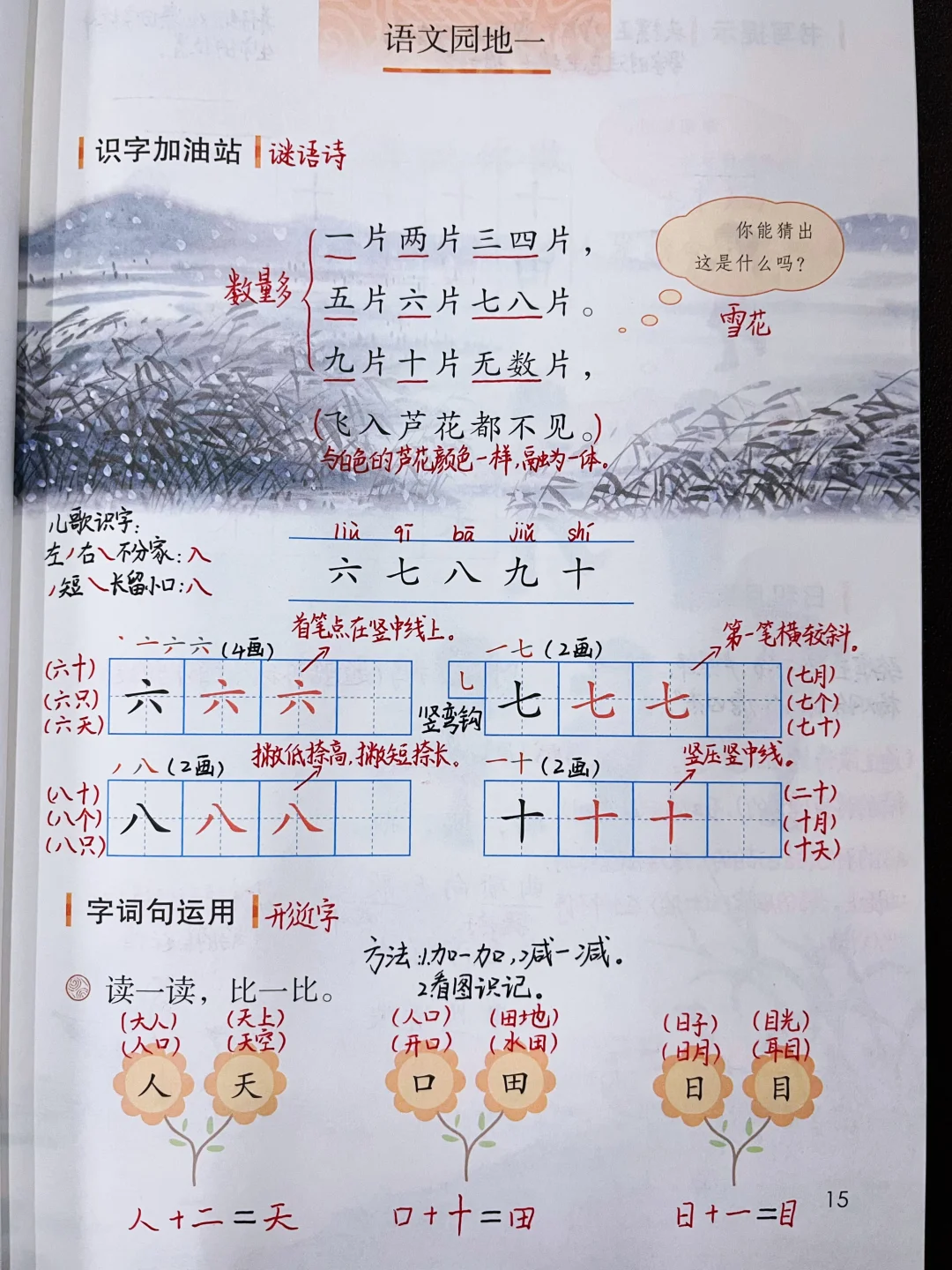 一年级上册语文|语文园地一 课堂笔记
