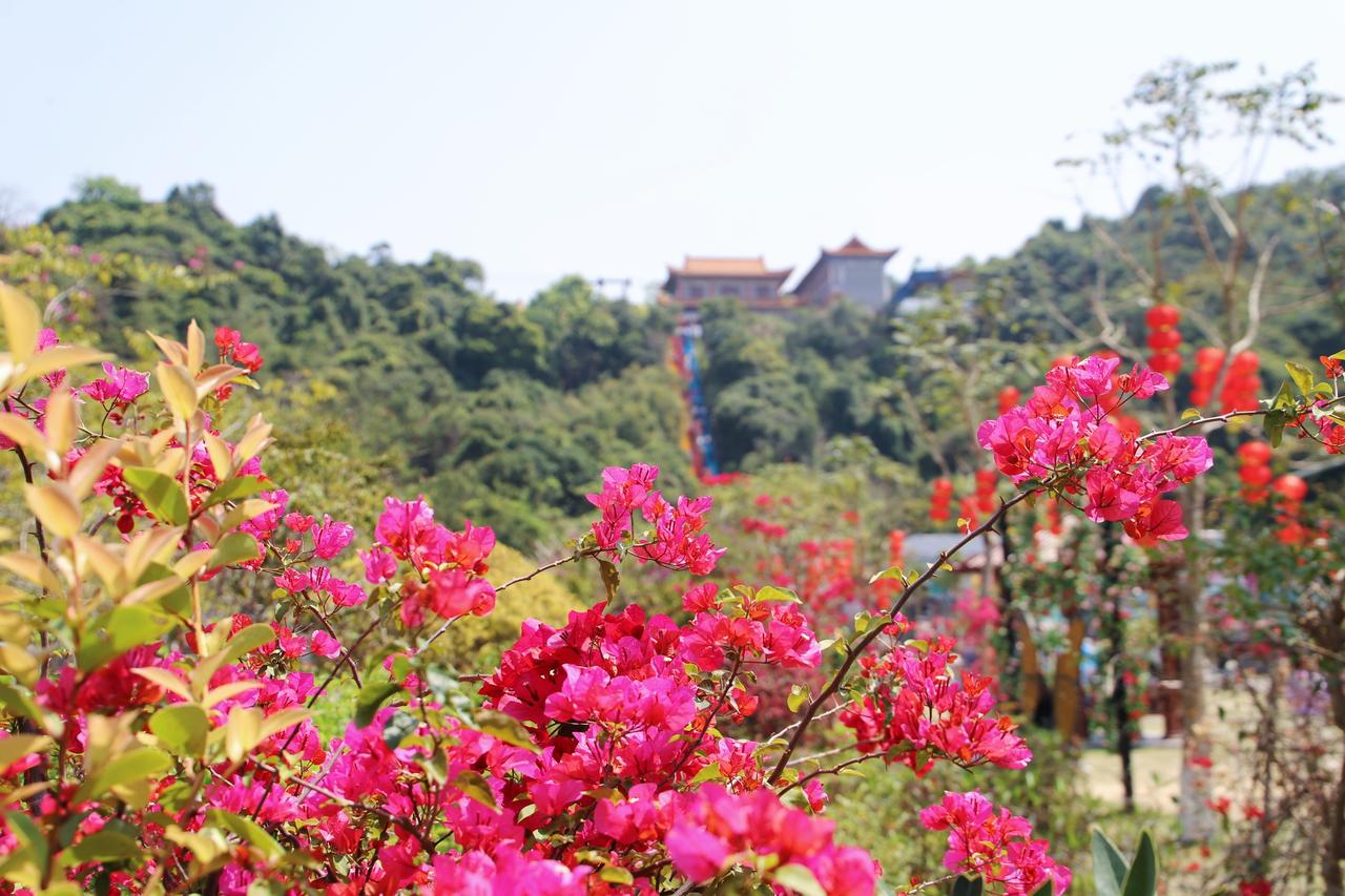 我居然在东莞观音山看到“神仙下凡”了？原来是观音山正在举办第四届花朝节，众多花神