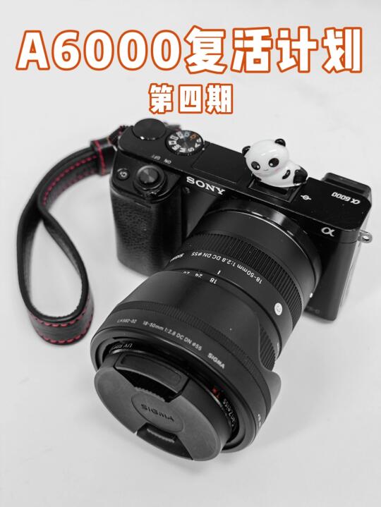 学会参数预设❗️让你的A6000高效出片❗️