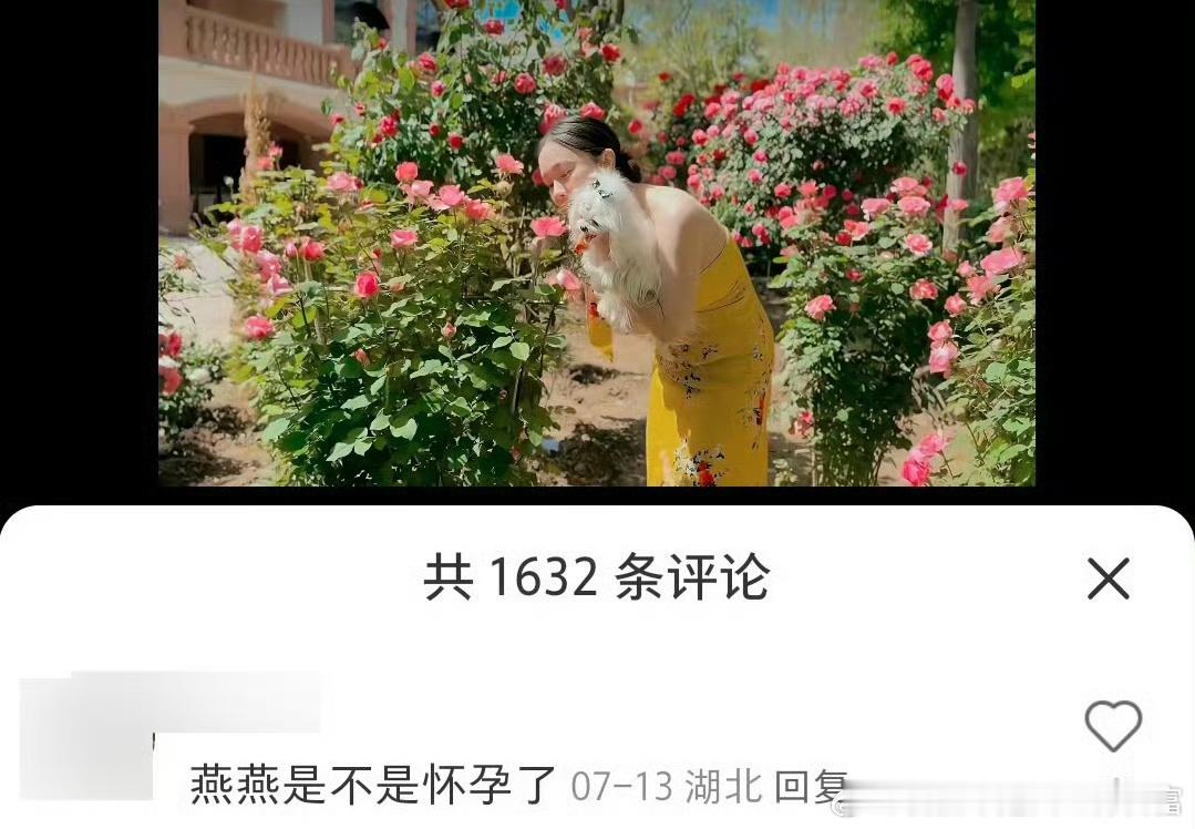 怎么想的呀，女孩子稍微胖点就成了怀孕啦[汗]#霍思燕 纯胖# ​​​