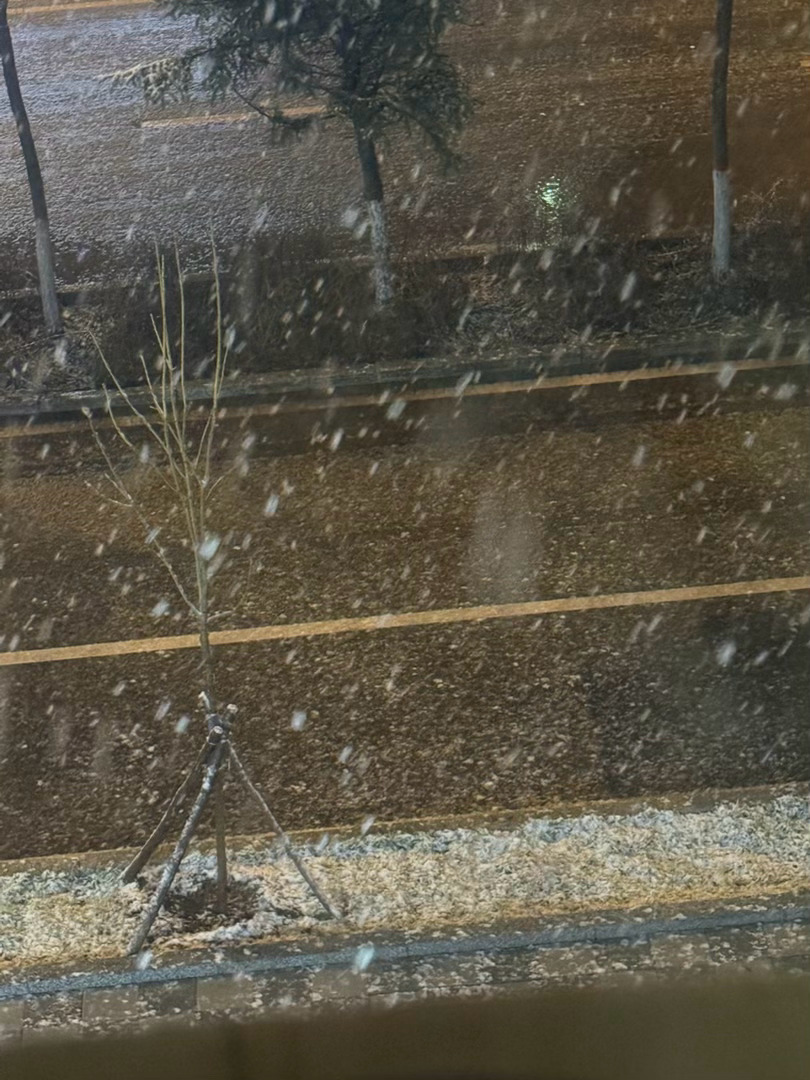 又下雪了，好浪漫啊，要是出去走走真的很浪漫啊，可是我懒哈哈哈哈 