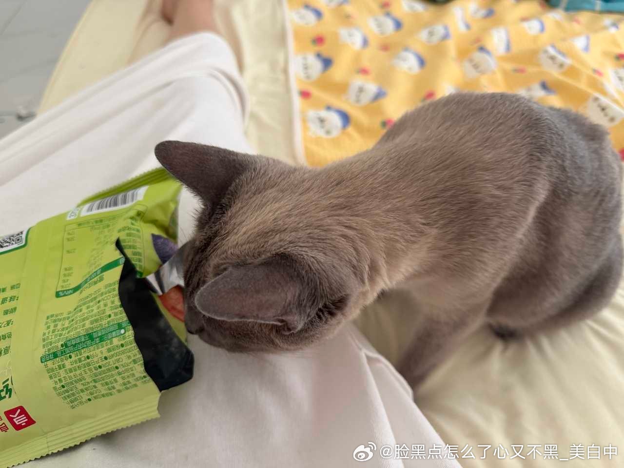 4103只黑脸逼罗爱偷萝卜脆 