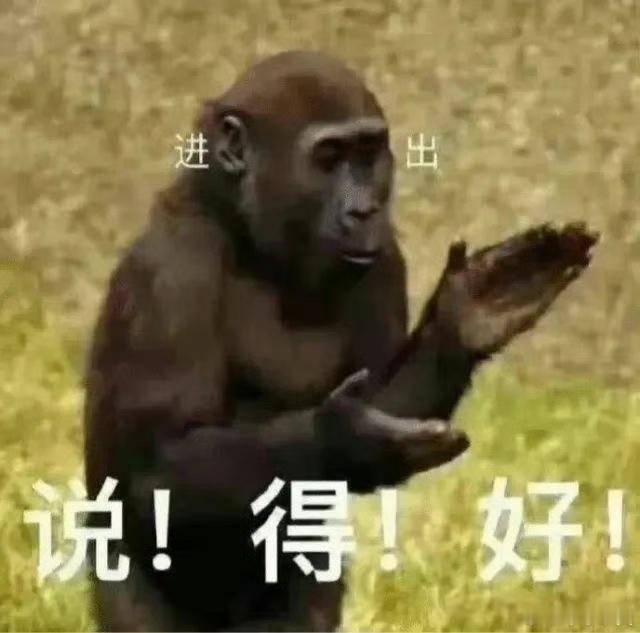 最尊重猴的剧组出现了剧组真的太细节了，年会2对待猴子真的非常用心，专门加上无伤害