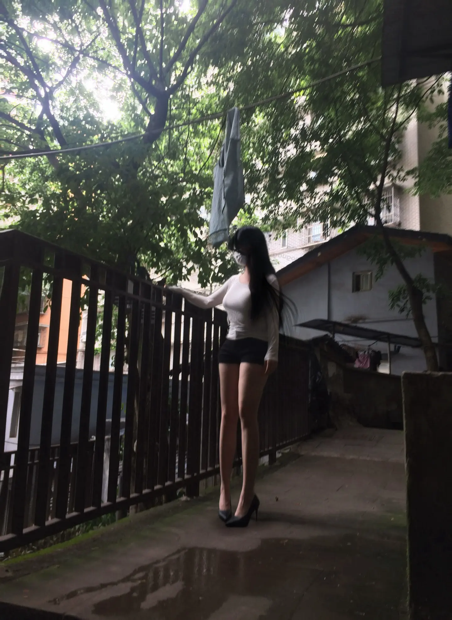 光与暗不相逢