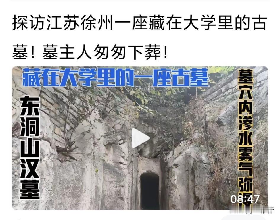 东洞山位于徐州经济开发区，周边是一大片居住区，学校没搬过来时，不少人就觉得应以这