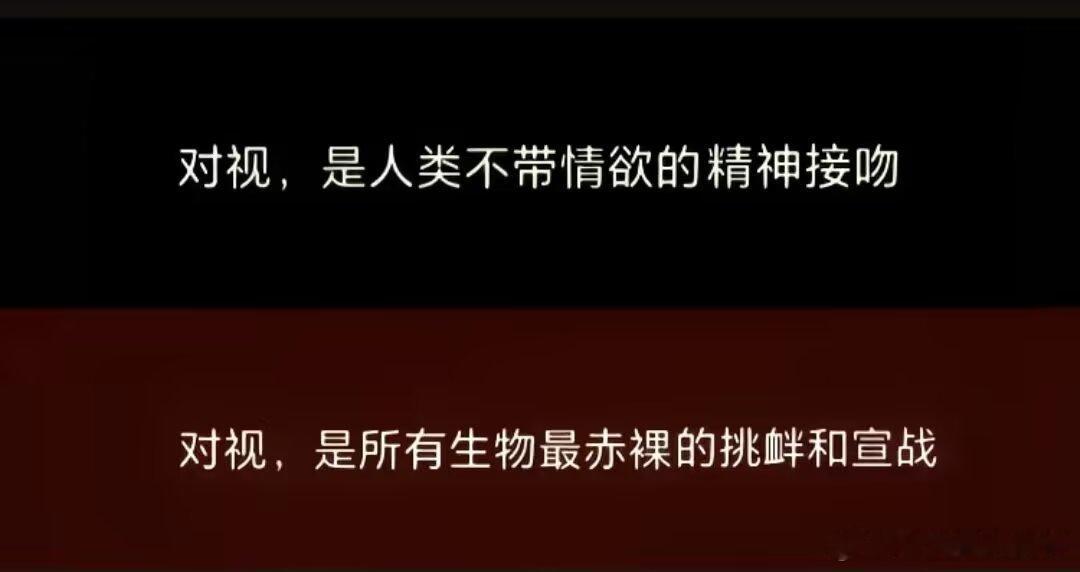 纯爱战士vs纯战士 