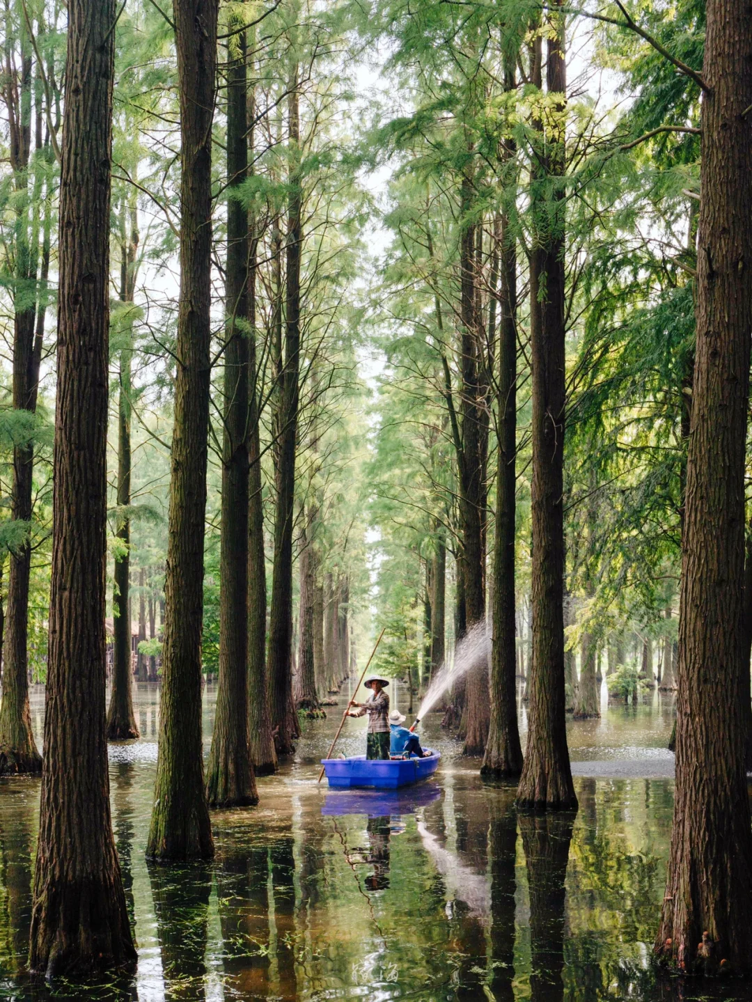 闯入现实版绿野仙踪!!🌲 上海冷门水上森林