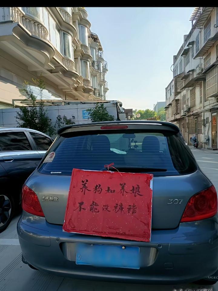 今天早上在小区看到一辆私家车车尾挂着一块红纸牌。

上面有两行大字:养狗如养娘，