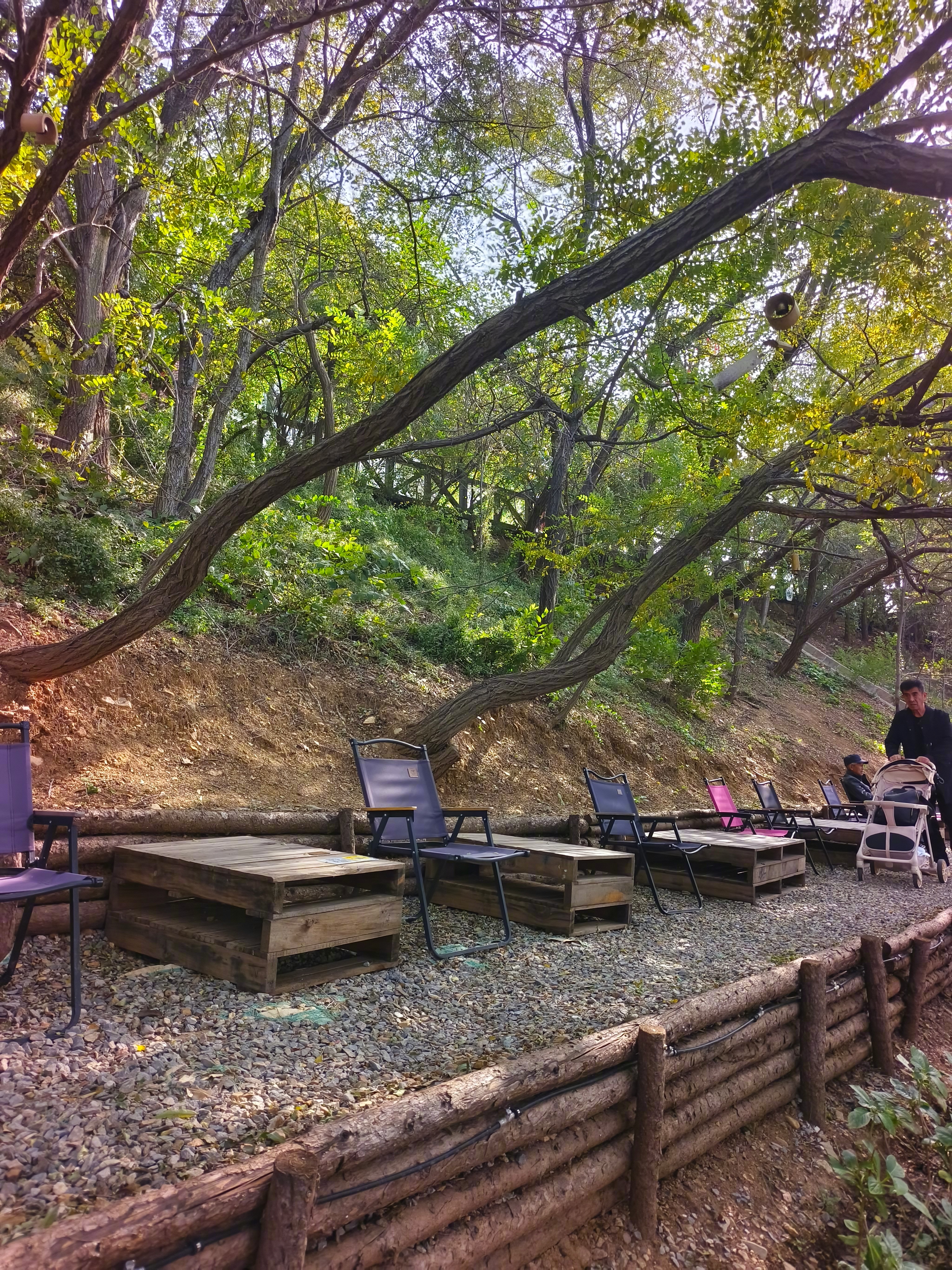 梁朝伟无聊的时候，就打个飞机去巴黎喂鸽子，我无聊的时候，就来西湖喝个茶。 ​​​