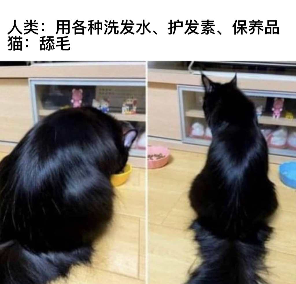 给我也舔舔#今日memes# //#新年快乐漫游指南# //#转发接龙开新年# 