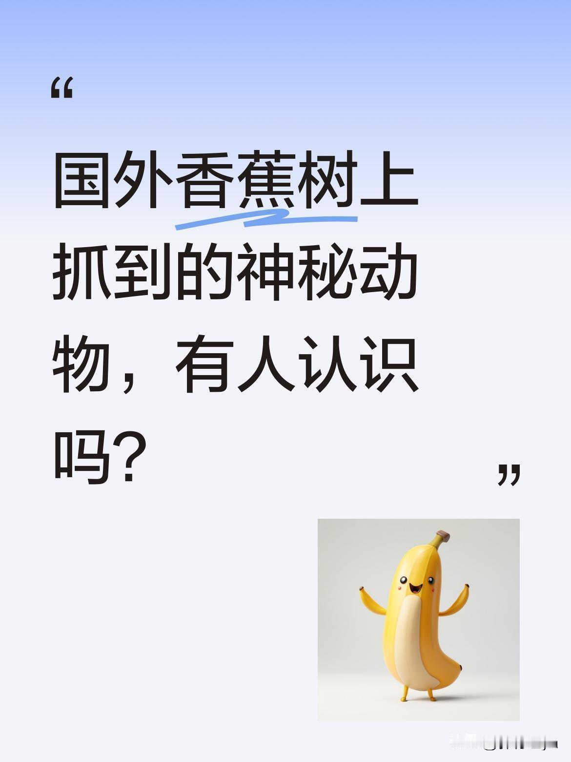 国外香蕉树上抓到的神秘动物，有人认识吗？
有国外网友分享了一段视频，在香蕉树上发