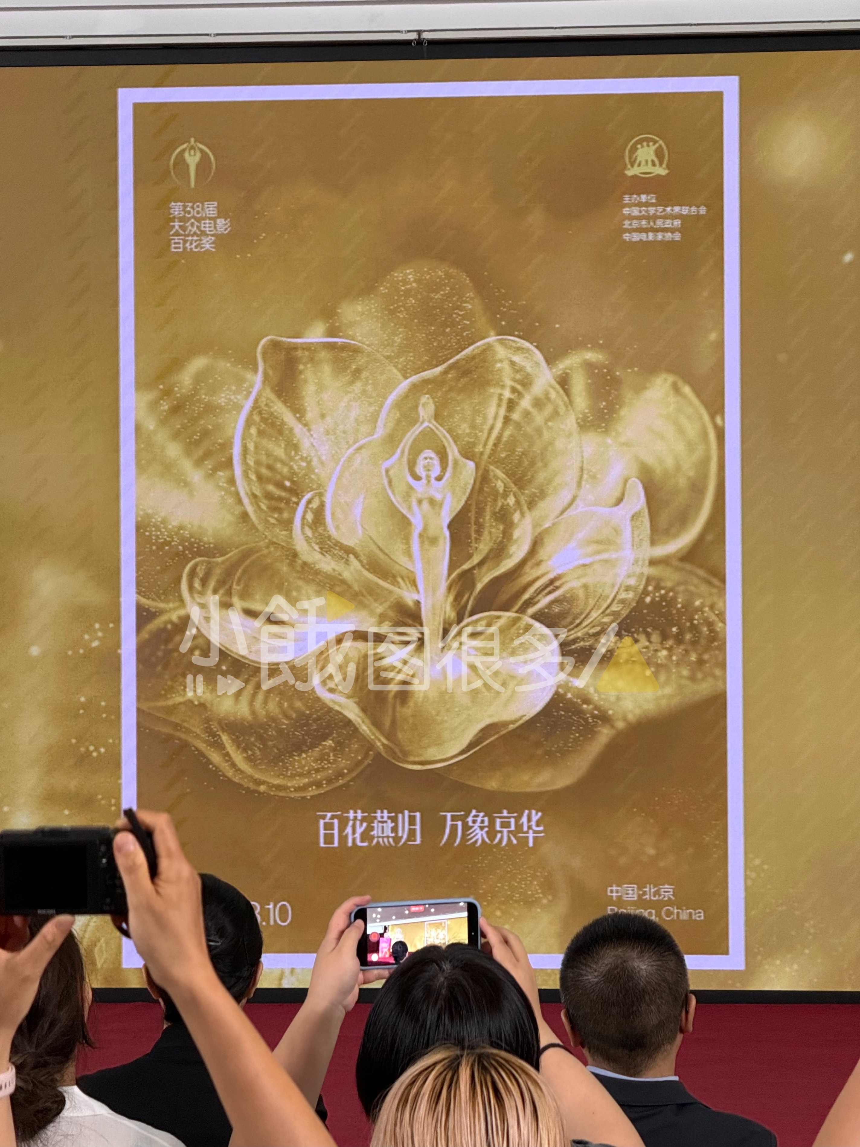 今年百花奖的金色月季花开海报 
