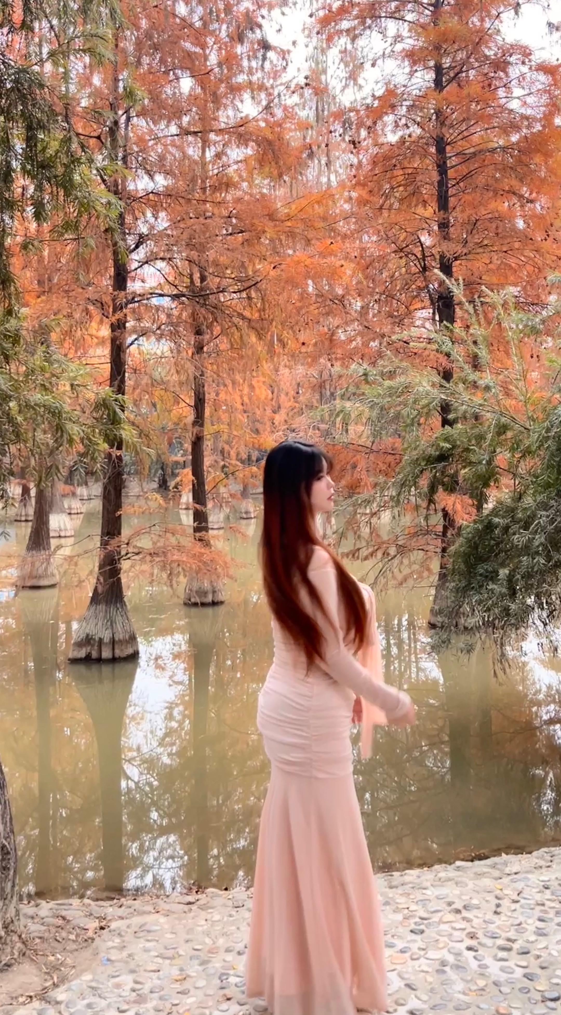 冬日暖阳下的落羽杉.🍂