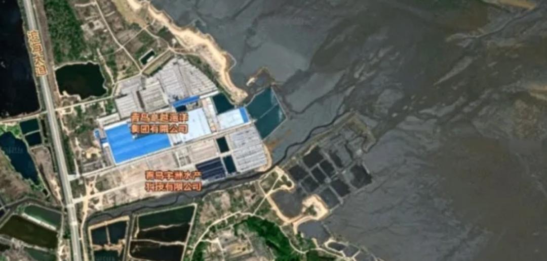 青岛国信集团已启动陆基大西洋鲑循环水养殖项目的设计工作。项目把育苗、养成、加工和
