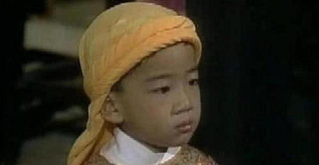 1863年，慈禧下令将石达开5岁的儿子石定忠凌迟3000刀处死，孩子实在太小，才