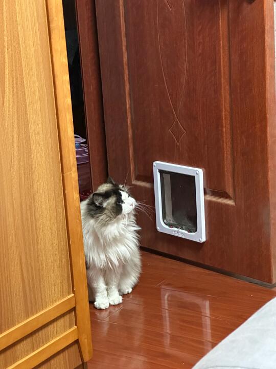 谁家美少女这么像老头儿啊