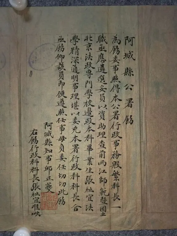 洪宪元年二月阿城县公署委任状