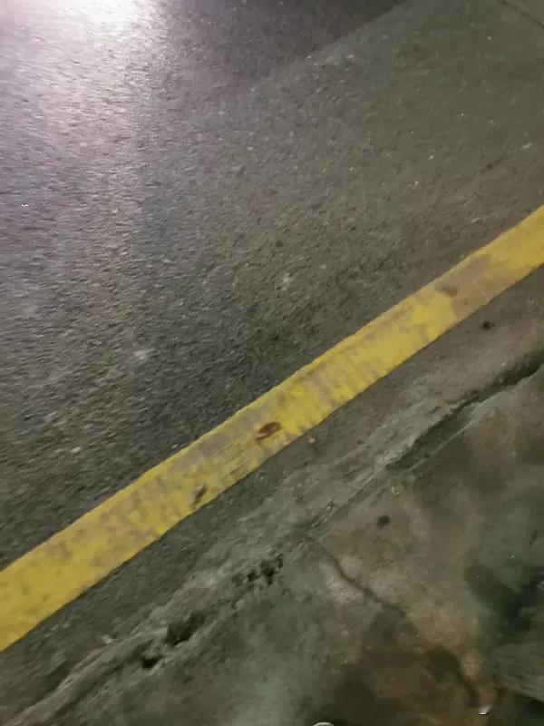 上海人大代表建议取消不必要的黄实线 上海人大代表建议取消不必要的黄实线，提议一出