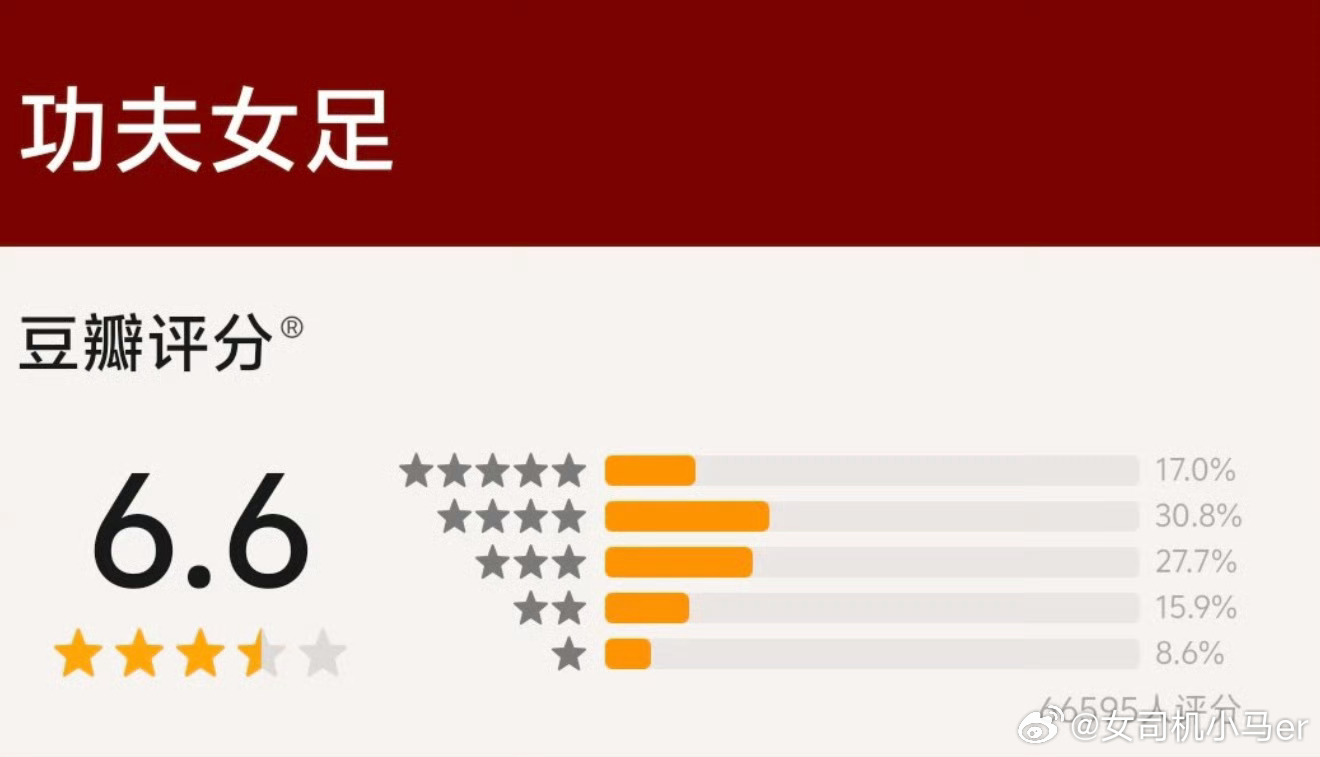 功夫女足豆瓣6.6票房却杀疯了刚刷到票房已经破4亿了！豆瓣稳在6.6，网上的评价