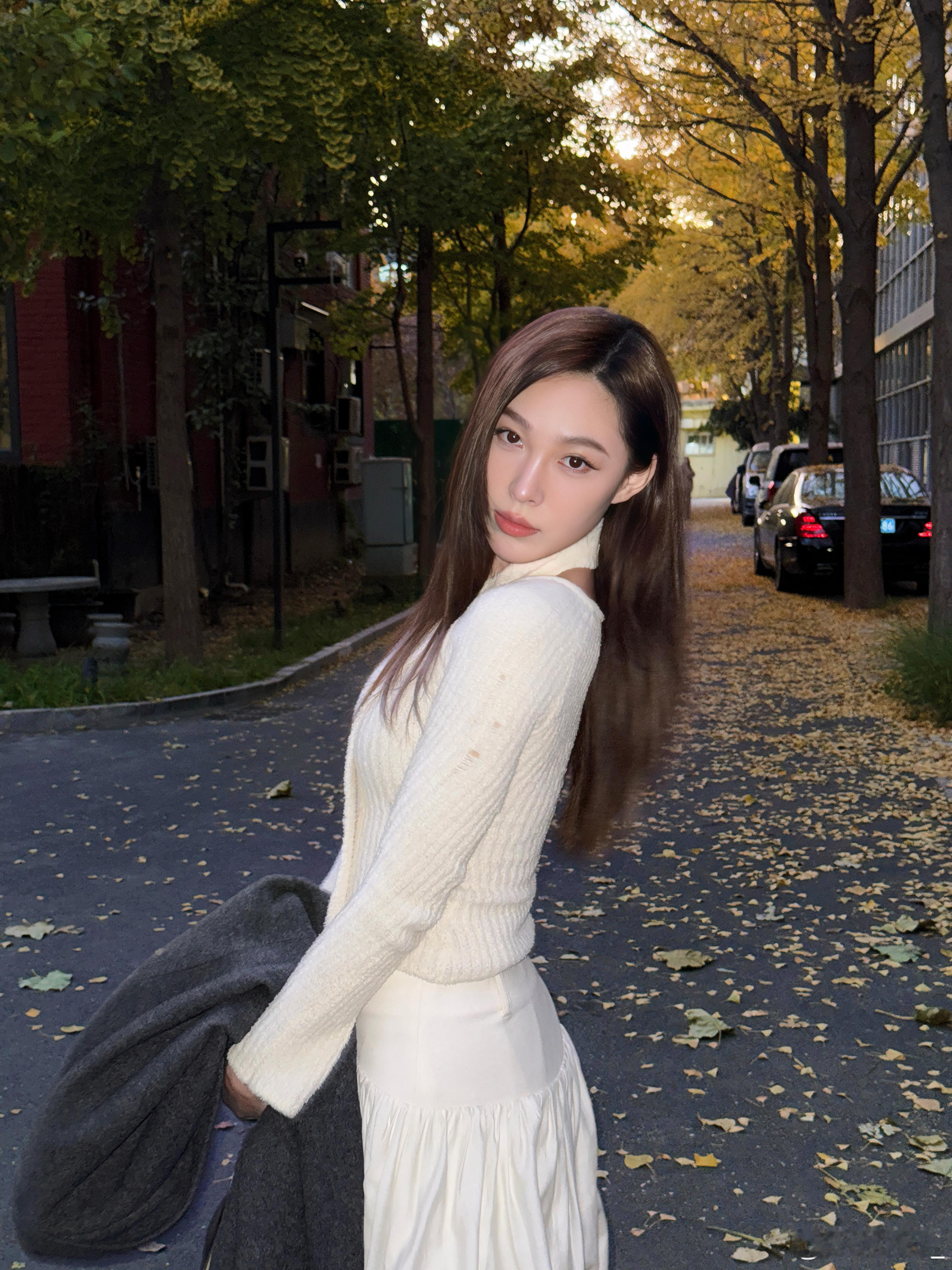 “一夜知秋”北平的秋天像一场盛大的舞会一夜醒来绿叶公主完成了她的谢幕鎏金公主转着