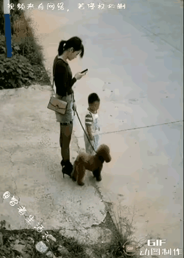 可不可以骂人？这是啥妈啊？危险来临的时候，她的第一反应竟然是先把狗狗抱了起来，结