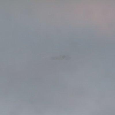 每日一善 所有随风而逝的都属于昨天的，所有历经风雨留下来的才是面向未来的。不要想