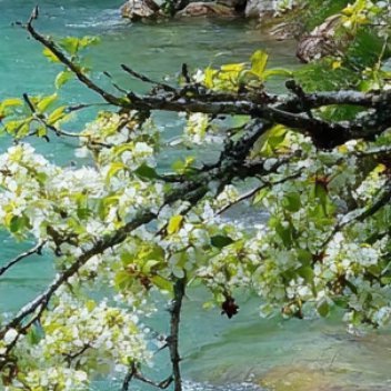 每日一善 ☀️ 每日一善  ☀️ 阳光信用 生命匆匆，不必委曲求全，不要给自己留