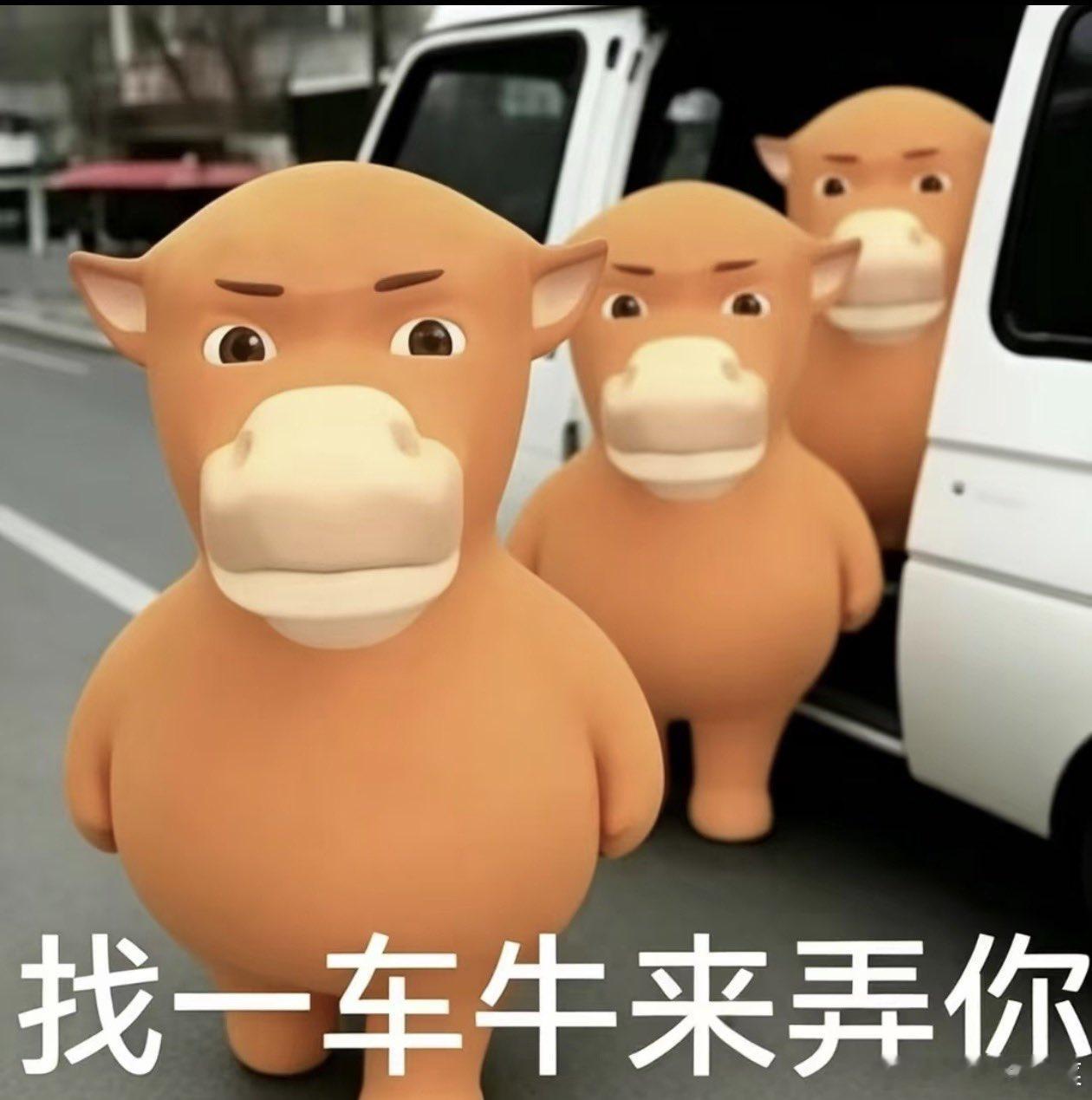 这事儿，对从业者来说，是真够讽刺的！电影牛来爆火让从业者心灰意冷母子俩手搓五年的