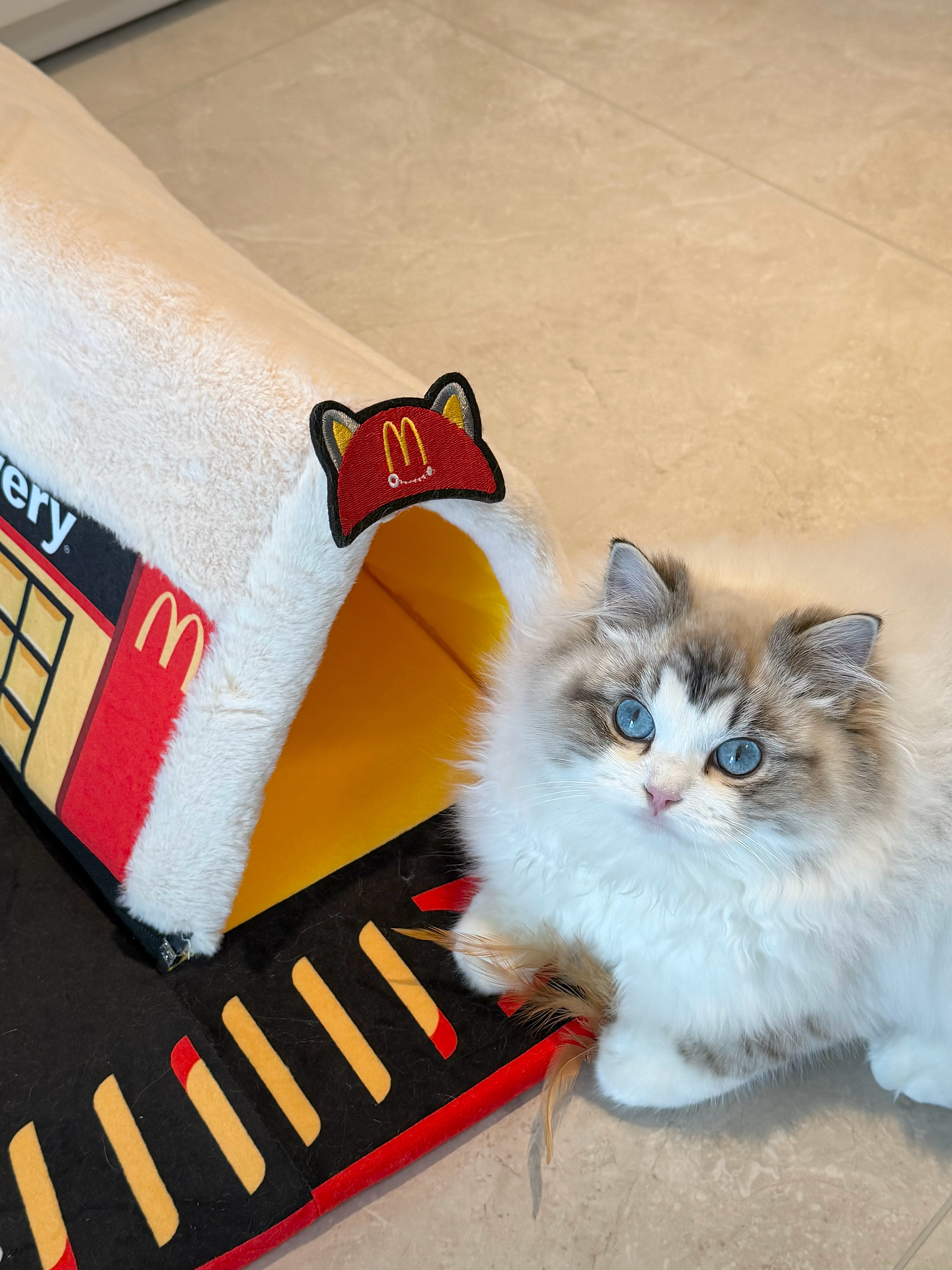 有点太可爱了 这小汉堡🍔 