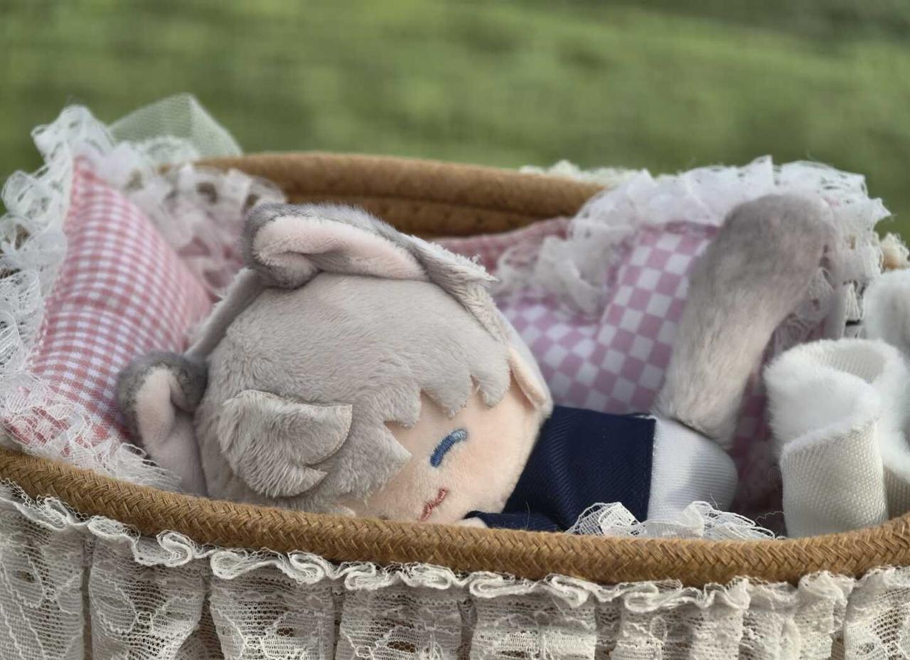 小猫要睡觉啦💤
天气很好适合小猫咪睡觉
潘妮的晚安小床，端着小床跑来跑去
沈星