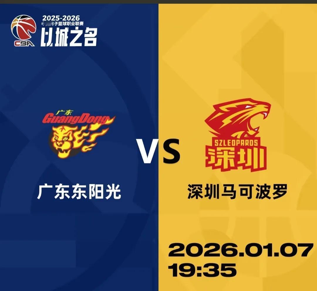 深圳队最近势头不错，特别是贺希宁，王浩然两个国内强点，得分都是多于队里外援的，在