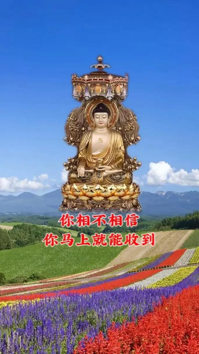 生肖蛇：心头愁云马上远去，速看即得贵运连连，烦心之事彻底解决

人生总有起起伏伏