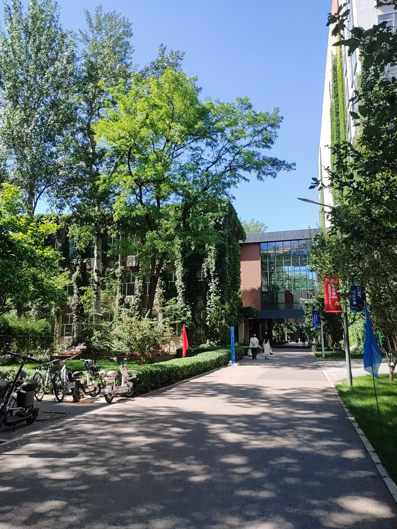 前两天去进京办的事，恰好挨着首都师范大学，索性走进校园走走。和煦阳光倾洒在葱郁林