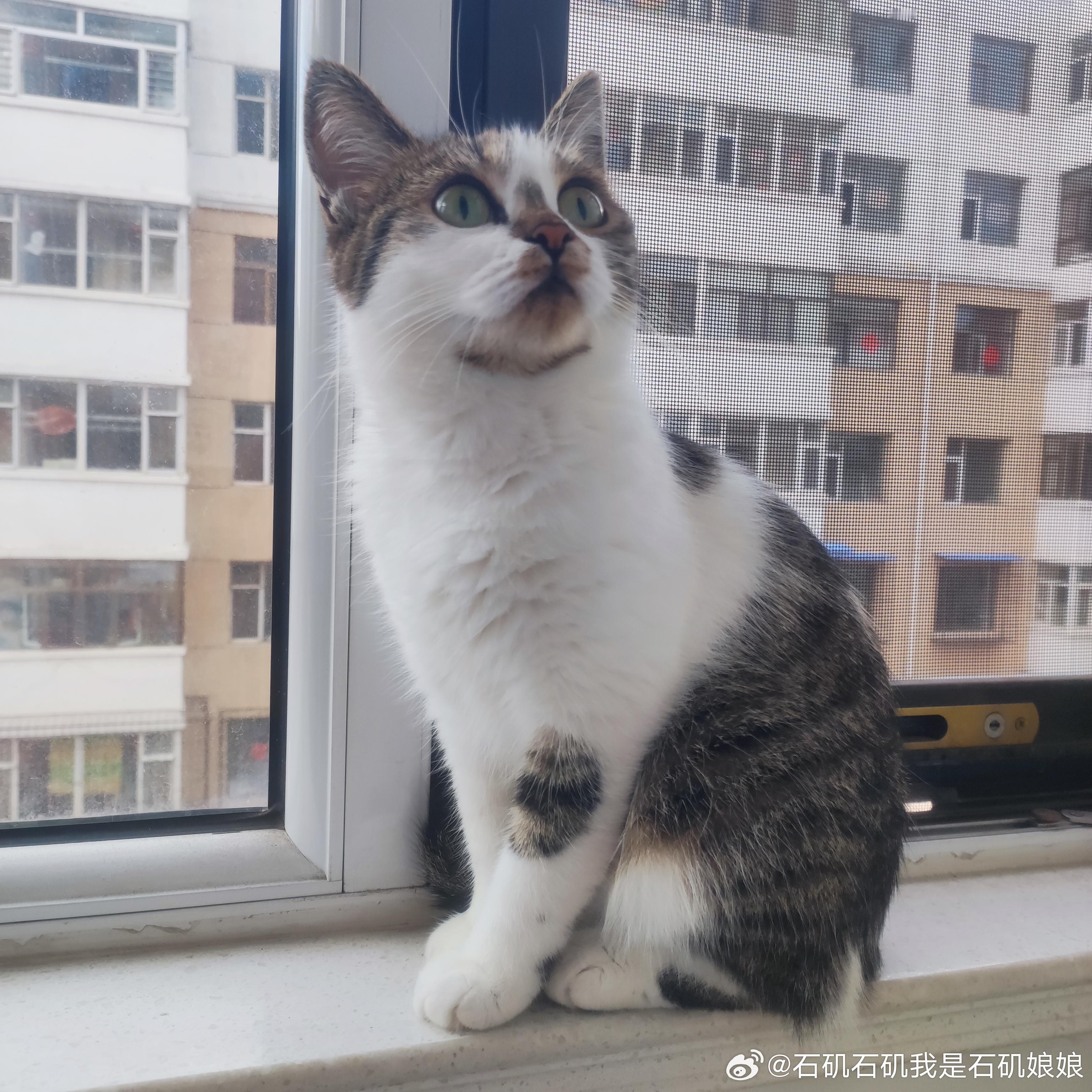 两个小朋友天天无所事事 ​​​