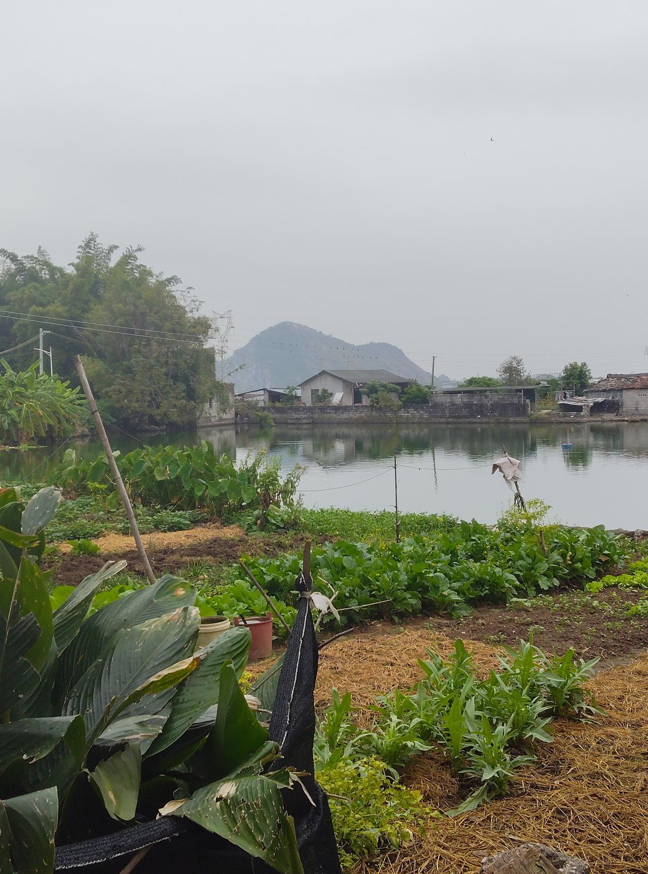 看到“秋霜催黄叶”这个上联，
瞬间就感受到了浓浓的秋意。
上联描绘出秋霜降临，