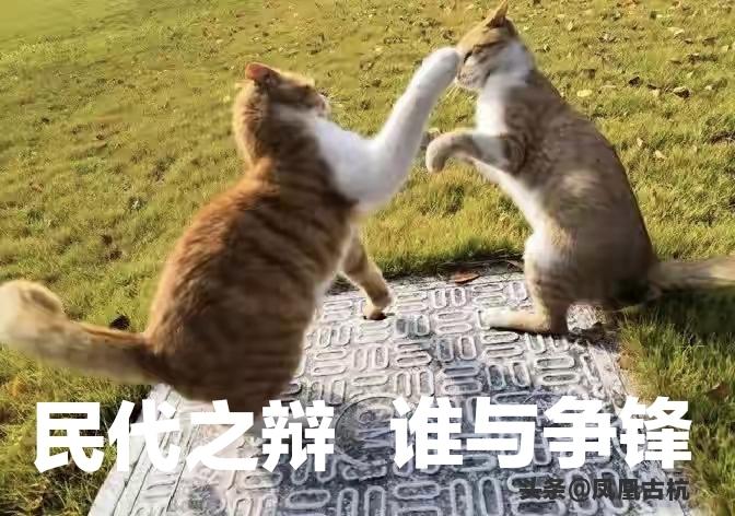 二三十年前，在教师整顿过程中，民办老师，被辞退了。代课老师，被清退了。他们都被清