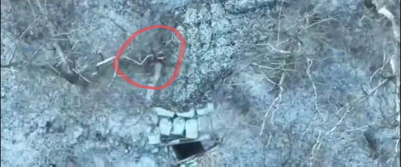 库皮扬斯克方向，俄军六轴重型无人机（红圈所示）向森林带乌军反攻部队的掩体投掷改装